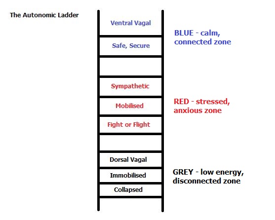 Autonomic Ladder Zones